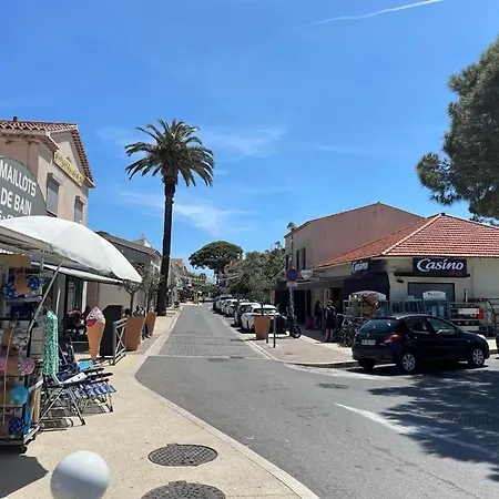 Les Pieds Dans L'eau הייר